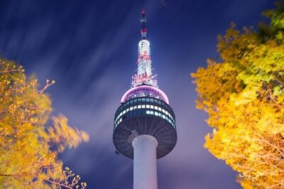 Private Downtown Seoul Food & Market Tour with 8+ Tastings - The food lineup: what’s included and why it works