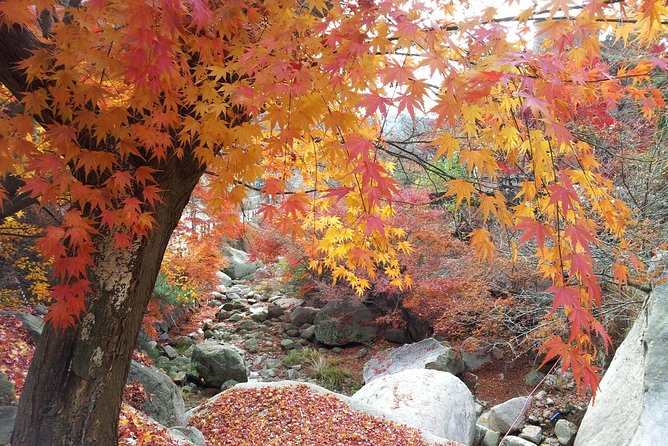 Private Hiking to Bukhansan & Korean Style Spa(Include Lunch) - Guides: the biggest difference-maker on this tour
