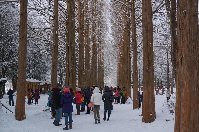Private Tour Nami Island with Petite France 'and/or' The Garden of Morning Calm - How this private Nami-and-gardens day actually feels