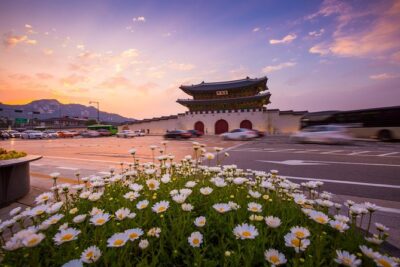 Royal Palace, Full-day Seoul City Tour (Pick up & Drop off) - Jogyesa Temple: a calm reset in the city center