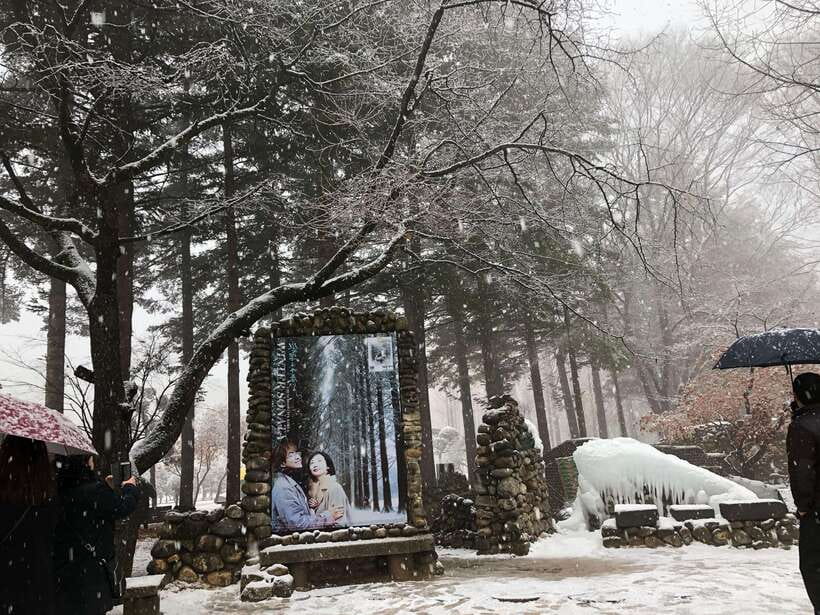 Seoul: Alpaca, Nami, Morning Calm or Eobi (+Rail Bike) - Garden of Morning Calm (or Eobi Ice Valley): Lights and Curves vs Ice Views