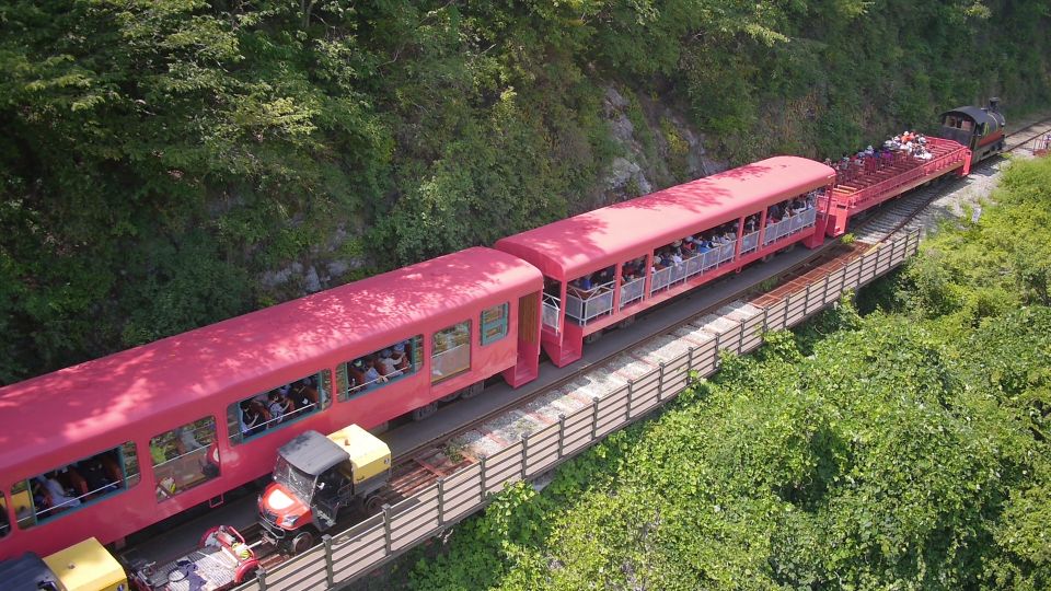 Seoul: Alpaca World & Nami Island optional Gangchon Railbike - Guides and the Small Extras That Make the Day Easier