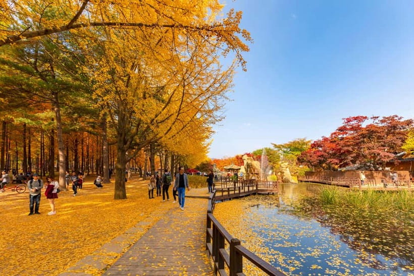 Seoul: Alpaca World & Nami Island optional Gangchon Railbike - Value and Price: Is $71 Worth It?