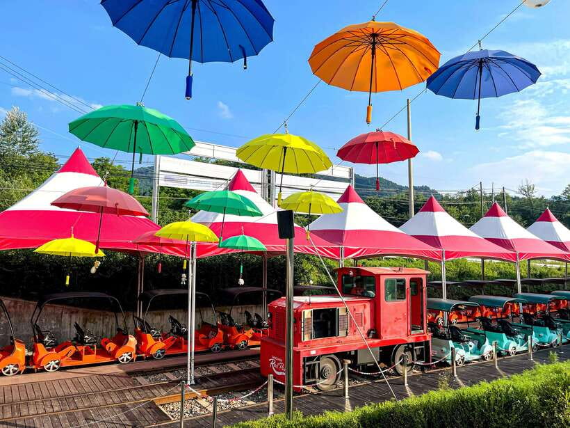 Seoul: Alpaca World & Nami Island optional Gangchon Railbike - Who Should Book This Trip (and Who Might Skip It)