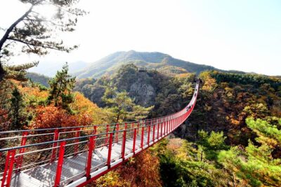 Seoul DMZ Tour with 3rd Tunnel and Red Suspension Bridge - Mangbaedan on New Year’s: A Small Stop That Hits Hard