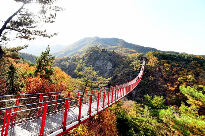 Seoul DMZ Tour with 3rd Tunnel and Red Suspension Bridge - Mangbaedan on New Year’s: A Small Stop That Hits Hard