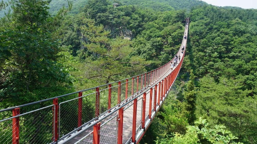 Seoul: DMZ Tour with Optional Suspension Bridge - A border split in one day: what this DMZ tour actually delivers