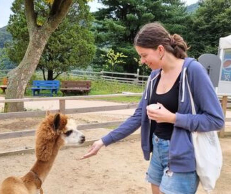 Seoul: Gangwon-do Day Trip with Alpaca World & Nami Island - Nami Island: K-drama filming trees you can actually stroll