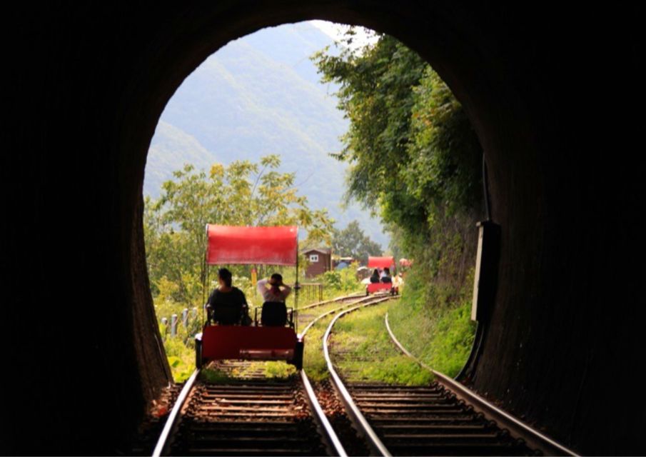 Seoul: Gangwon-do Day Trip with Alpaca World & Nami Island - Gangchon Rail Park rail bikes or the Garden of Morning Calm: choose your ending