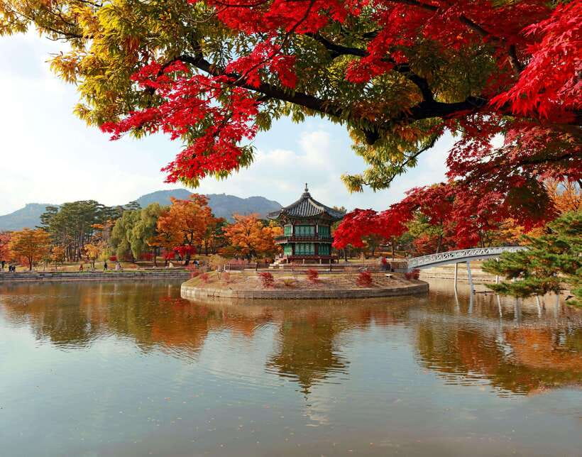 Seoul Highlights: Gyeongbok Palace, Insadong & N Seoul Tower - A fast way to see Seoul’s royal core and skyline