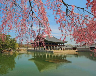 Seoul Highlights: Gyeongbok Palace, Insadong & N Seoul Tower - Jogyesa Temple and the Changing of the Guard at Gwanghwamun