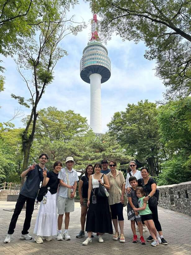 Seoul Highlights: Gyeongbok Palace, Insadong & N Seoul Tower - N Seoul Tower and the cable car: city views you can’t fake