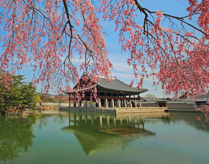 Seoul Highlights: Gyeongbok Palace, Insadong & N Seoul Tower - Jogyesa Temple and the Changing of the Guard at Gwanghwamun