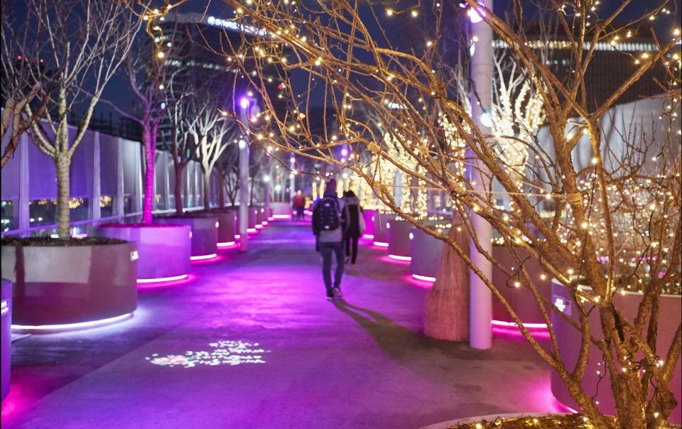 Seoul: Moonlight Rainbow Fountain Show Night Tour - Key highlights to look forward to