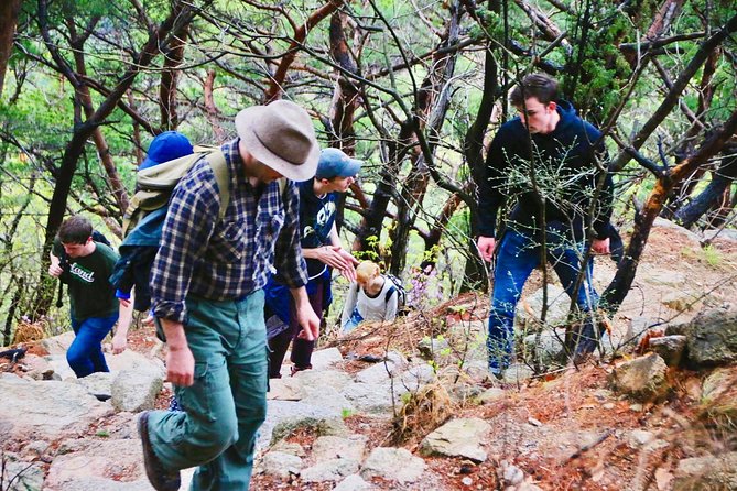 Seoul Mountain Hike: Temples, Folklore & Traditional Meal - The mountain restaurant lunch: food you’ll actually remember