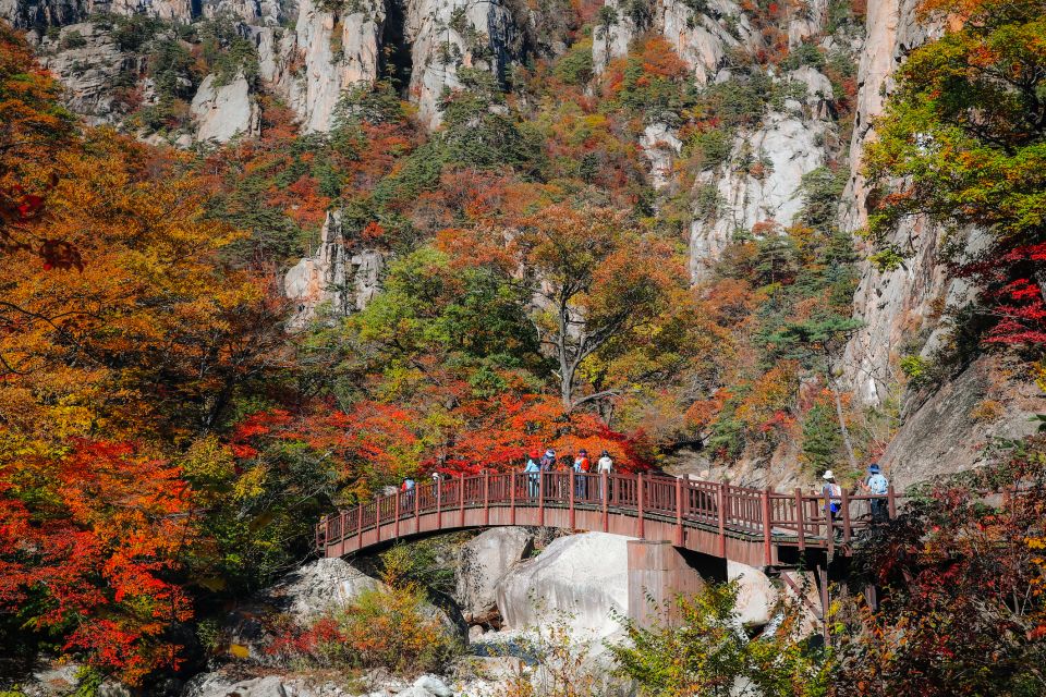 Seoul: Mt Seorak + Naksansa Temple or Nami Island Group Tour - Getting From Seoul to Seoraksan: The Coach Ride You’ll Actually Enjoy