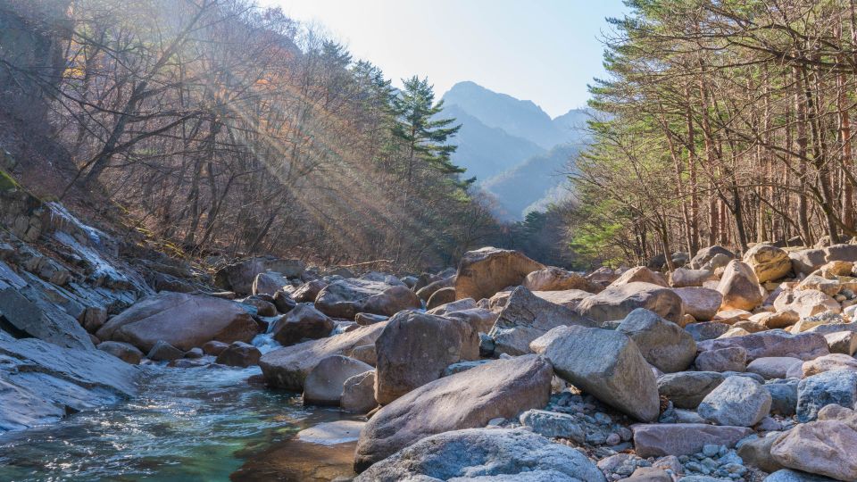 Seoul: Mt Seorak + Naksansa Temple or Nami Island Group Tour - Nami Island Half-Moon Walks: Trees, Film Locations, and Wildlife
