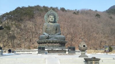 Seoul: Mt Seorak + Naksansa Temple or Nami Island Group Tour - Naksansa Temple: Sea-View Buddhism and the Spring Cherry Blossom Road