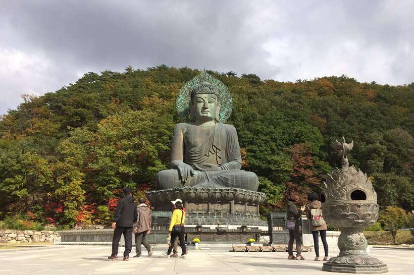 Seoul: Mt.Seorak, Nami Island, No Shopping(+RailBike Option) - Key Things You’ll Notice on This Trip