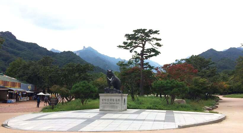 Seoul: Mt.Seorak, Nami Island, No Shopping(+RailBike Option) - Why This Day Trip Works: Mt. Seoraksan Plus Nami Island