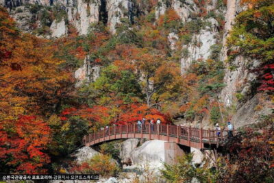 Seoul: Mt.Seorak, Nami Island, No Shopping(+RailBike Option) - Starting Points in Seoul: Myeongdong vs Hongdae