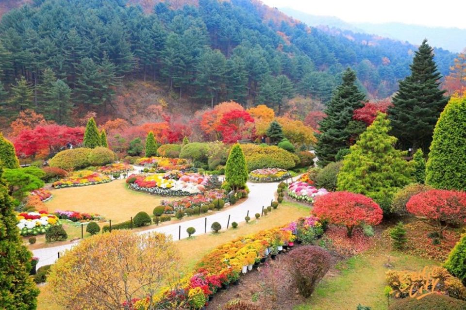 Seoul: Nami and Petite France Tour with Optional K-Garden - Price and logistics: what you’re really paying for