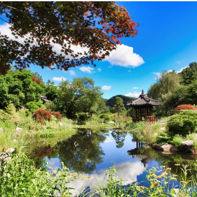 Seoul: Nami and Petite France Tour with Optional K-Garden - Pinocchio & Da Vinci Italian Village: art-meets-whimsy