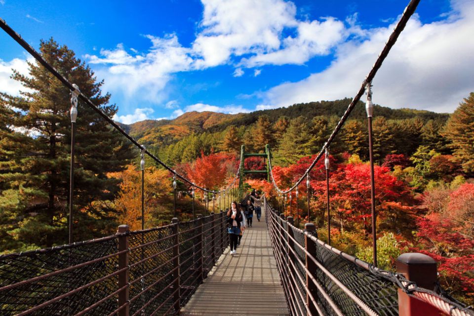Seoul: Nami and Petite France Tour with Optional K-Garden - Optional Garden of Morning Calm: when you want slower and greener