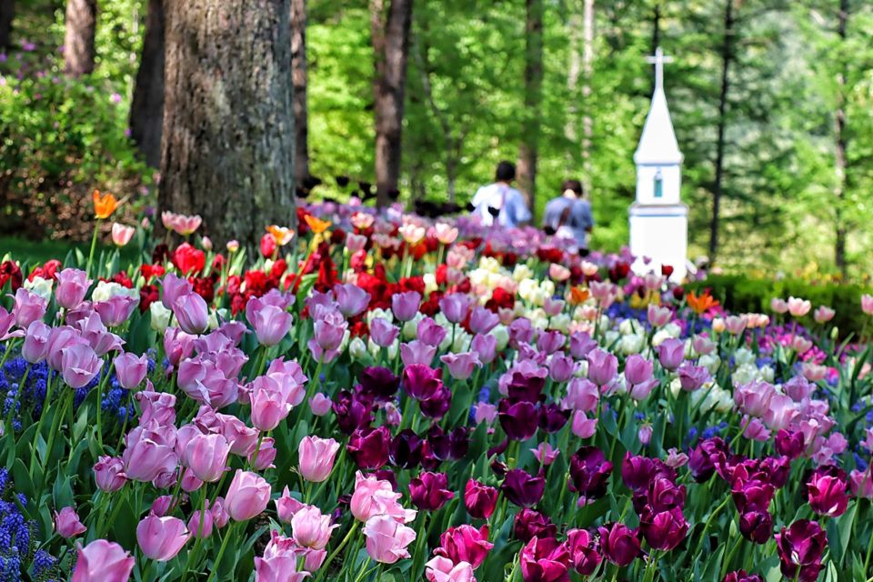 Seoul: Nami and Petite France Tour with Optional K-Garden - The guide experience: language and pacing can make or break it