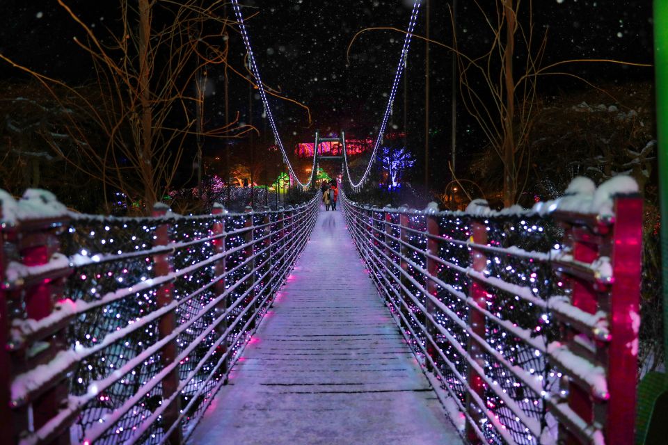 Seoul: Nami and Petite France Tour with Optional K-Garden - Transportation and group shape: what you’ll feel in your body