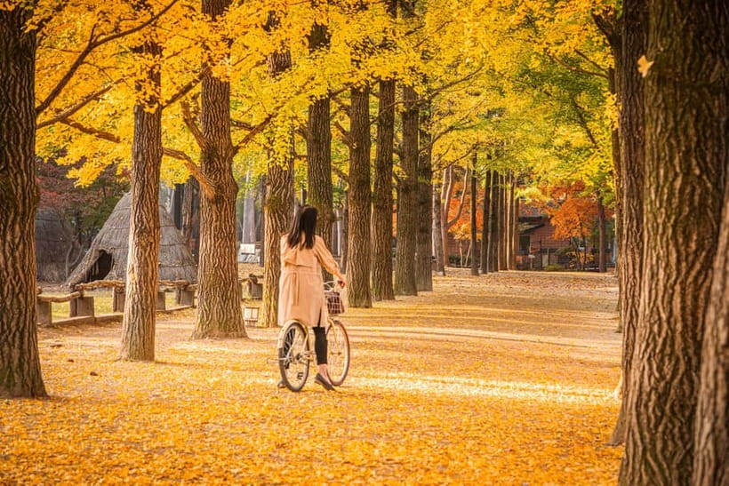 Seoul: Nami Island and Garden of Morning Calm opt Railbike - A Smooth Seoul Day Trip That Actually Feels Manageable