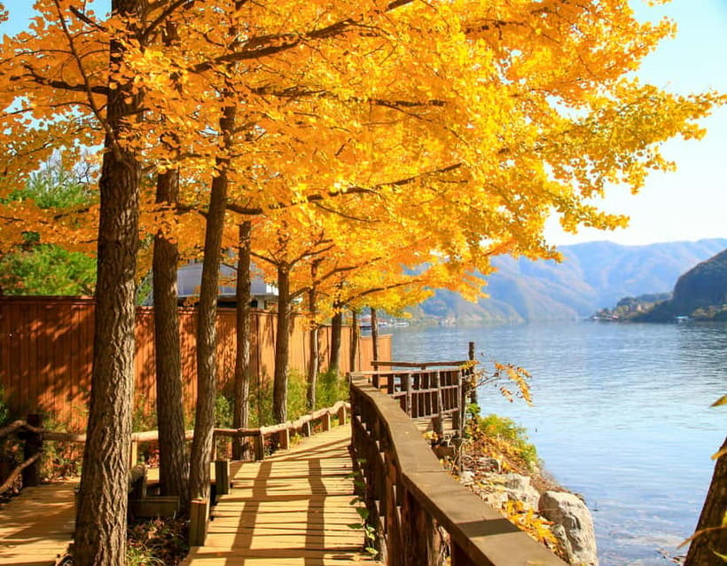 Seoul: Nami Island, Garden and Petite France (opt. Railbike) - Practical tips for your best day: rain, shoes, and photo order