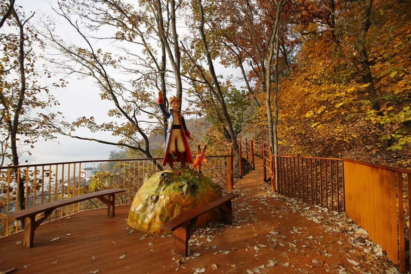 Seoul: Nami Island, Garden and Petite France (opt. Railbike) - Who should book this tour (and who should rethink it)