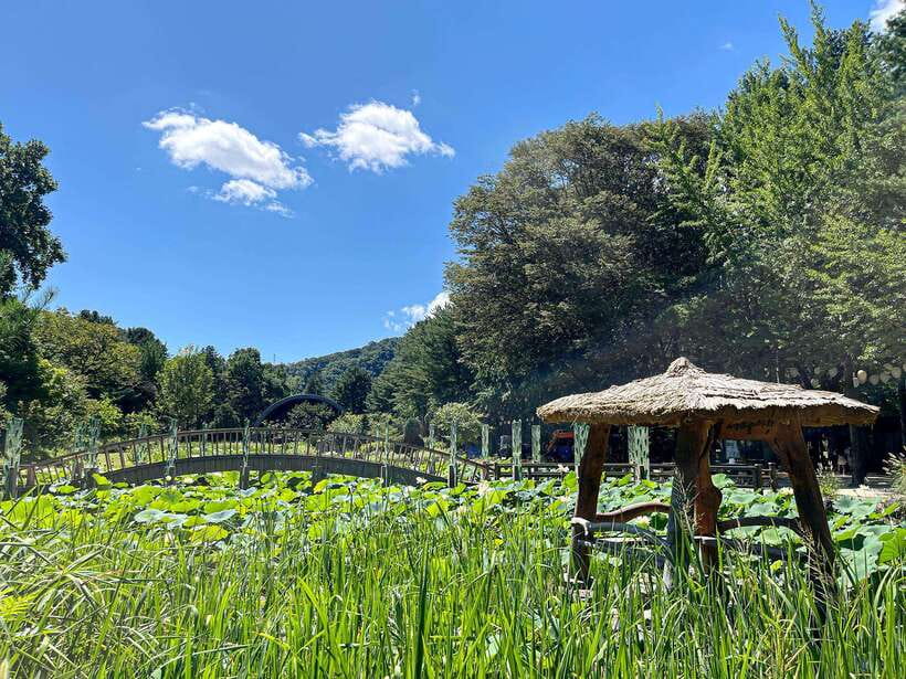 Seoul: Nami Island & Petite France Tour with Railbike Option - Petite France and Italian Village: Color Streets, Drama Locations, Real Walking Time