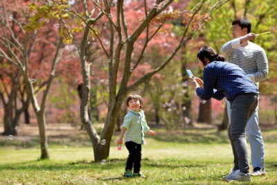 Seoul: Nami Island & Petite France Tour with Railbike Option - Nami Island: The Tree-Lined Walk That Needs More Than a Quick Stop