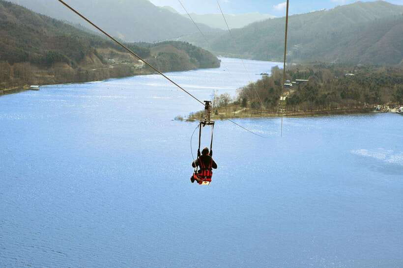 Seoul: Nami Island & Petite France Tour with Railbike Option - Who Should Book This, and Who Should Not