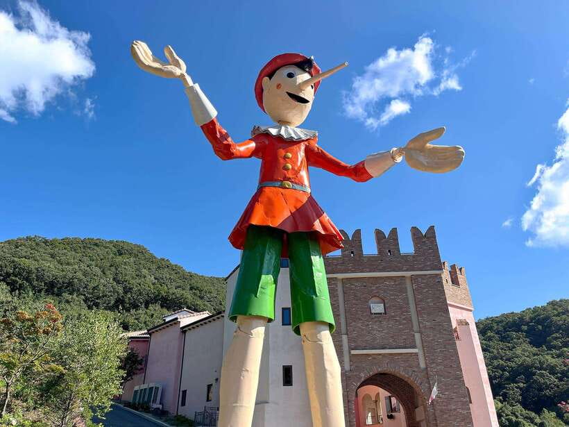 Seoul: Nami Island & Petite France Tour with Railbike Option - Should You Book This Seoul Nami Island and Petite France Tour?