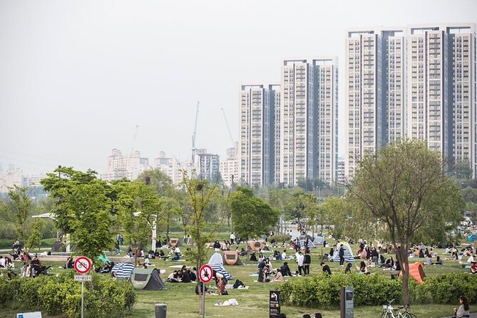 Seoul Night Tour with Han River Cruise and Gyeongbokgung Palace - Yeouido Hangang Park and the Han River Cruise: Night Views You Can Feel