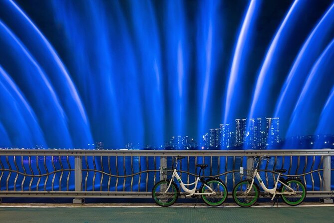 Seoul Night Tour with Han River Cruise and Gyeongbokgung Palace - Price and Value: Is $245 a Good Deal Here?
