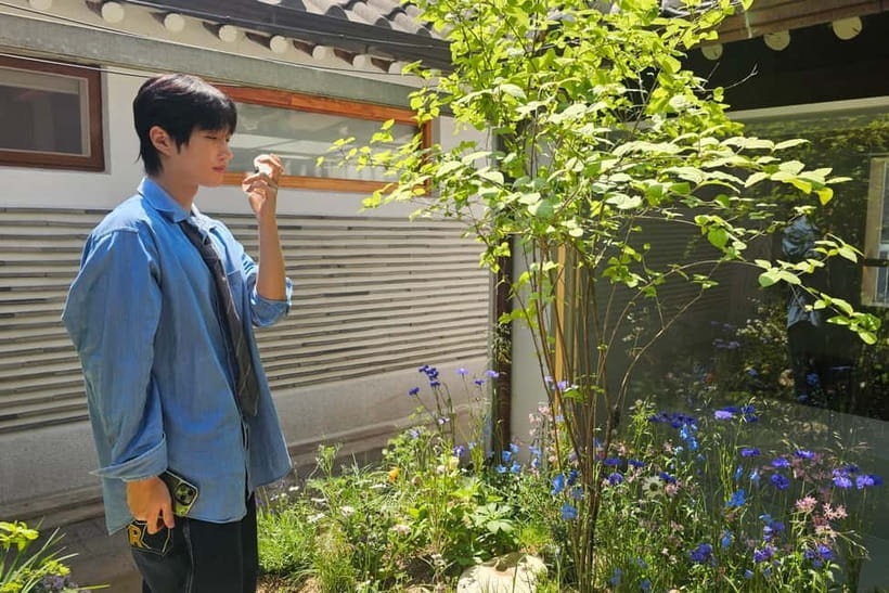 Seoul: Perfume-Making Workshop in a Hanok - Price and value: why $49 often makes sense here