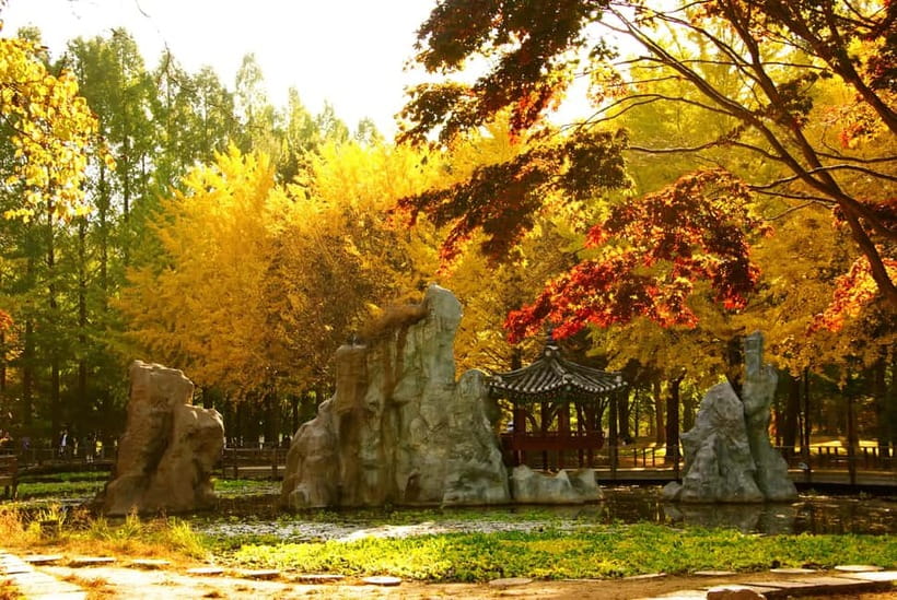 Seoul: Pocheon Art Valley, Garden and Fruit Picking Day Tour - Should you book? My take