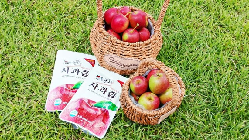 Seoul: Pocheon Art Valley, Garden and Fruit Picking Day Tour - How this 11-hour Seoul trip stays balanced
