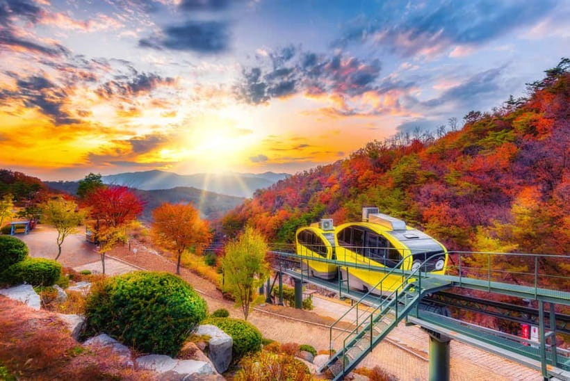 Seoul: Pocheon Art Valley, Garden and Fruit Picking Day Tour - Strawberry season vs apple season: what you actually do at the farm