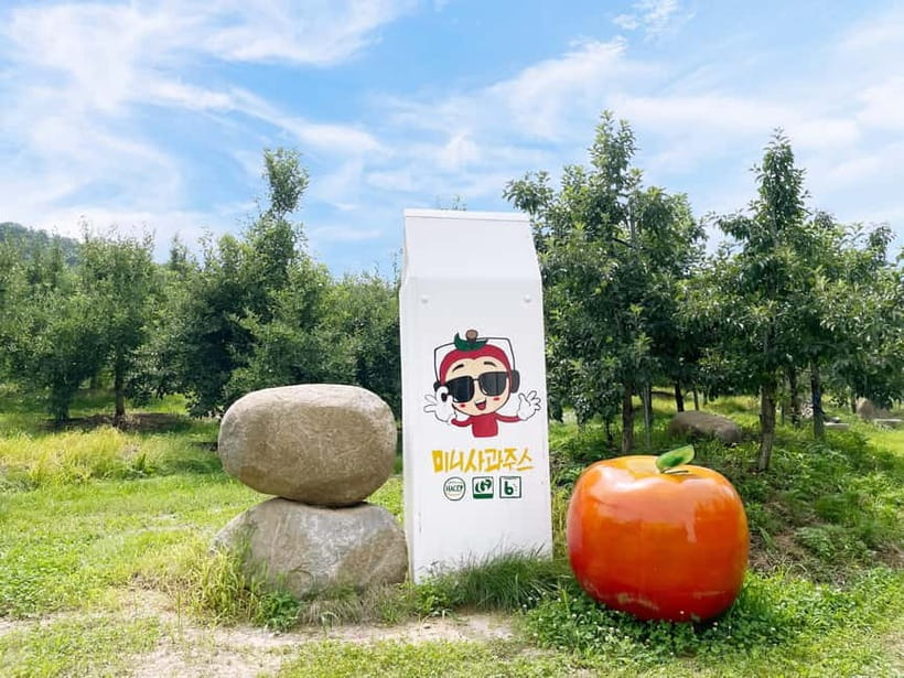 Seoul: Pocheon Art Valley, Garden and Fruit Picking Day Tour - Pocheon Art Valley: cliff-and-lake views plus a monorail ride