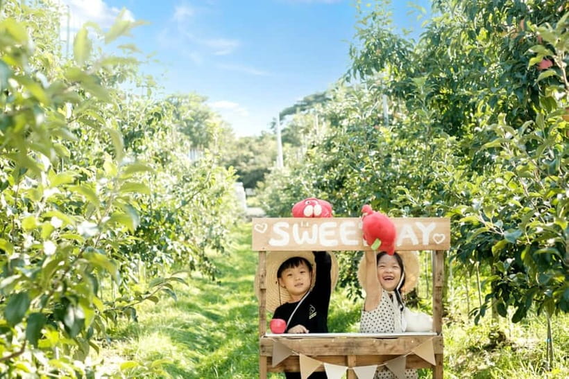 Seoul: Pocheon Art Valley, Garden and Fruit Picking Day Tour - Getting there and back: meeting points, ride time, and the day’s pacing