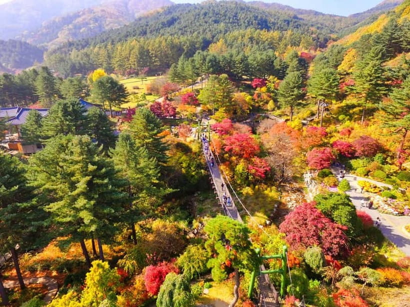 Seoul: Pocheon Art Valley, Garden and Fruit Picking Day Tour - Who should book this tour, and who might not love it
