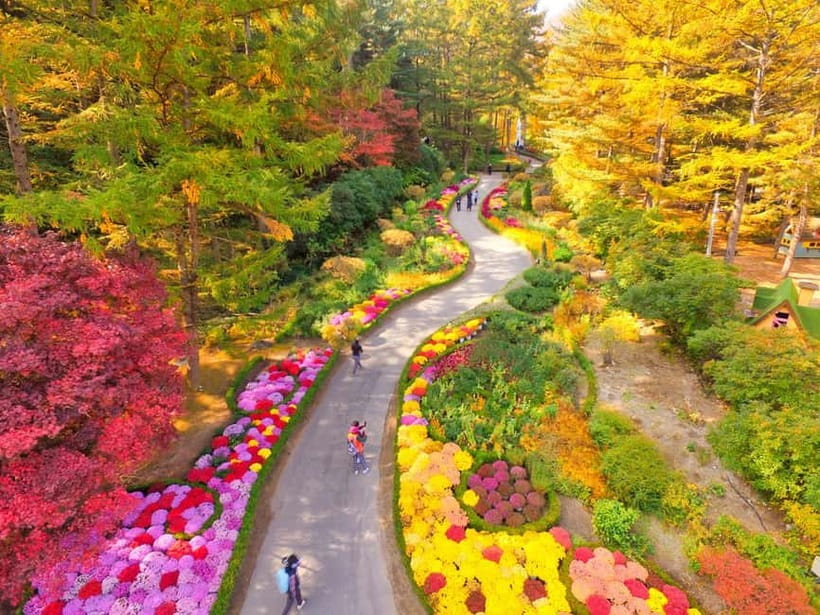 Seoul: Pocheon Art Valley, Garden and Fruit Picking Day Tour - Tips that make a difference on this exact schedule