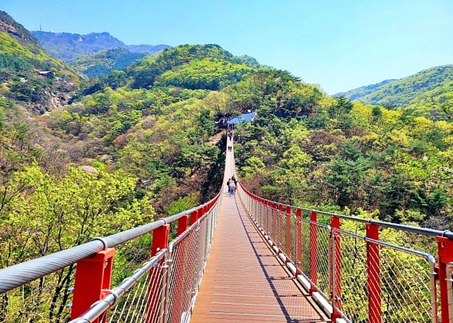 Seoul: Small-Group DMZ Tour with North Korea Experience Hall - Dora Observatory and Unification Village: The View You’ll Still Think About