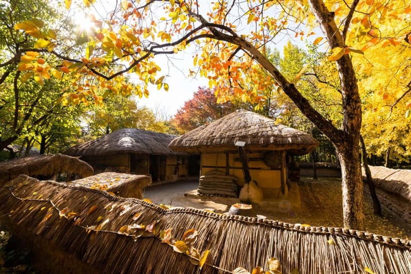 Seoul: Suwon Hwaseong Fortress & Korean Folk Village Tour - What to Pack and How to Make the Day Comfortable