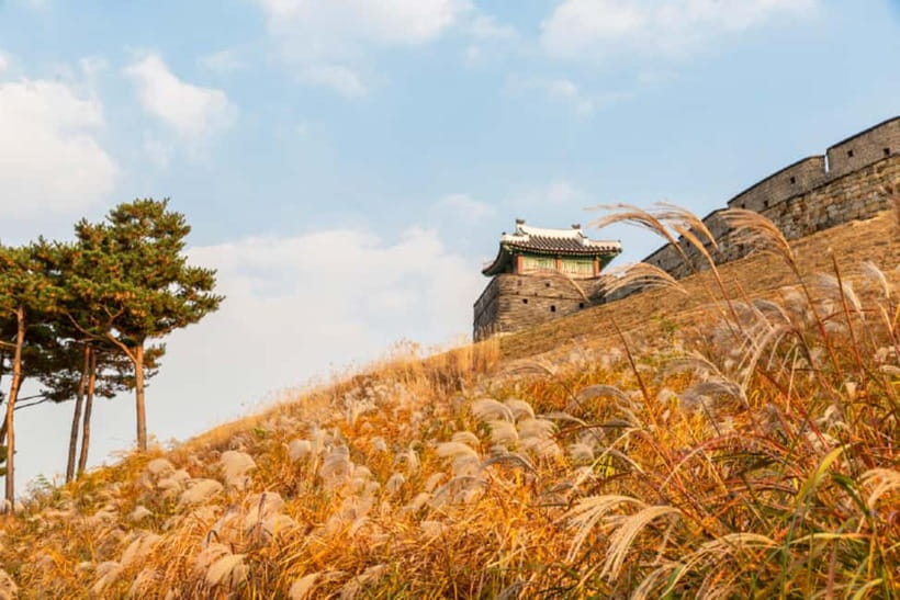 Seoul: Suwon Hwaseong Fortress & Korean Folk Village Tour - Central Seoul Pickup and the Real Timing of Getting Out